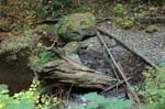 2008_10_30_Mult_Falls_12mi_0225