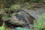 2008_10_30_Mult_Falls_12mi_0226