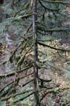 2008_10_30_Mult_Falls_12mi_0233