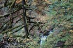 2008_10_30_Mult_Falls_12mi_0235