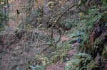 2008_10_30_Mult_Falls_12mi_0236