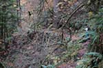 2008_10_30_Mult_Falls_12mi_0237