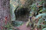 2008_10_30_Mult_Falls_12mi_0238