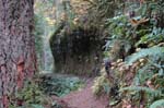 2008_10_30_Mult_Falls_12mi_0239