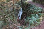 2008_10_30_Mult_Falls_12mi_0240