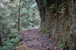 2008_10_30_Mult_Falls_12mi_0241
