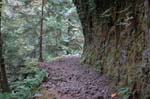 2008_10_30_Mult_Falls_12mi_0242