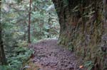 2008_10_30_Mult_Falls_12mi_0243
