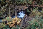 2008_10_30_Mult_Falls_12mi_0245