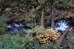 2008_10_30_Mult_Falls_12mi_0246