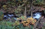 2008_10_30_Mult_Falls_12mi_0247