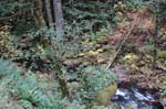 2008_10_30_Mult_Falls_12mi_0250