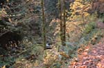 2008_10_30_Mult_Falls_12mi_0252