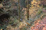 2008_10_30_Mult_Falls_12mi_0253