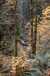 2008_10_30_Mult_Falls_12mi_0254