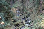 2008_10_30_Mult_Falls_12mi_0257