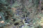 2008_10_30_Mult_Falls_12mi_0259