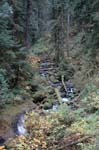 2008_10_30_Mult_Falls_12mi_0260
