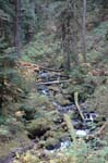 2008_10_30_Mult_Falls_12mi_0261