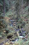 2008_10_30_Mult_Falls_12mi_0262