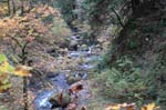 2008_10_30_Mult_Falls_12mi_0263