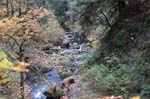 2008_10_30_Mult_Falls_12mi_0264