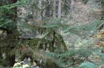 2008_10_30_Mult_Falls_12mi_0266