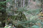 2008_10_30_Mult_Falls_12mi_0267
