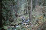 2008_10_30_Mult_Falls_12mi_0268