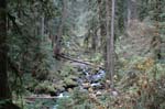 2008_10_30_Mult_Falls_12mi_0269