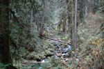 2008_10_30_Mult_Falls_12mi_0270