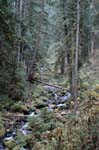 2008_10_30_Mult_Falls_12mi_0271