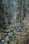 2008_10_30_Mult_Falls_12mi_0272