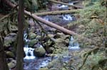 2008_10_30_Mult_Falls_12mi_0273