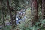 2008_10_30_Mult_Falls_12mi_0274