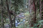 2008_10_30_Mult_Falls_12mi_0276