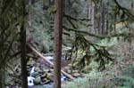 2008_10_30_Mult_Falls_12mi_0277