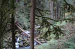 2008_10_30_Mult_Falls_12mi_0278