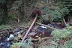 2008_10_30_Mult_Falls_12mi_0279