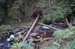 2008_10_30_Mult_Falls_12mi_0280