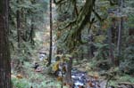 2008_10_30_Mult_Falls_12mi_0281