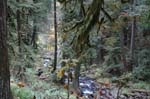 2008_10_30_Mult_Falls_12mi_0282