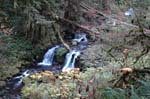 2008_10_30_Mult_Falls_12mi_0283