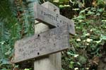 2008_10_30_Mult_Falls_12mi_0285