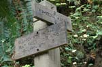 2008_10_30_Mult_Falls_12mi_0286