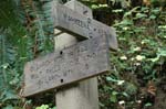 2008_10_30_Mult_Falls_12mi_0287