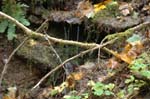 2008_10_30_Mult_Falls_12mi_0288