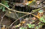 2008_10_30_Mult_Falls_12mi_0289