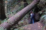 2008_10_30_Mult_Falls_12mi_0291