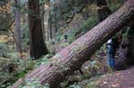 2008_10_30_Mult_Falls_12mi_0292